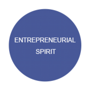 entrepreneurial-spirit
