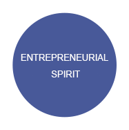 entrepreneurial-spirit